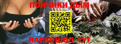 гидропоника Можга