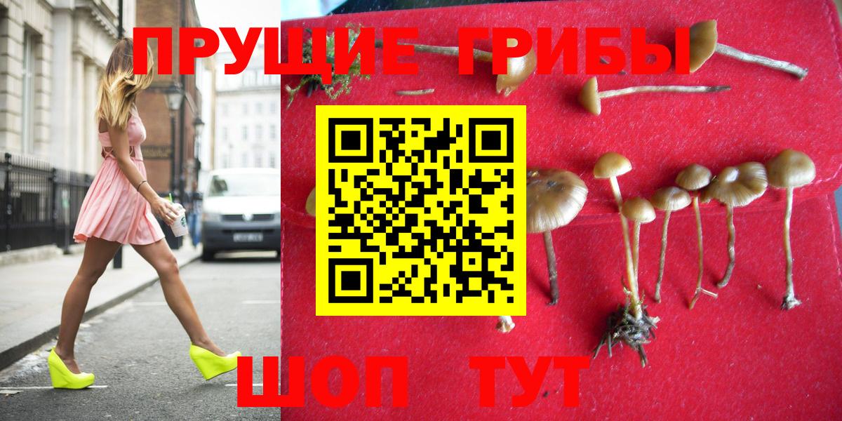 Горячий Ключ  Галлюциногенные грибы ЛСД  Галлюциногенные грибы ЛСД  Вход с VPN 