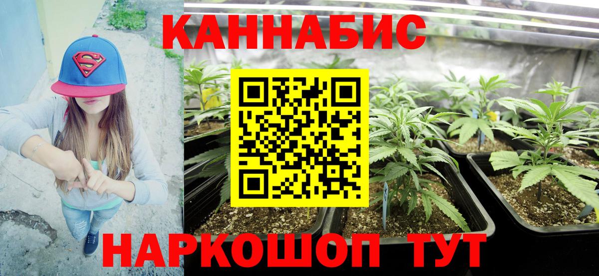 Бошки Шишки конопля Горячий Ключ